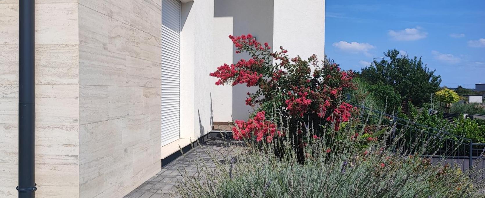 White Column House Apartment Diosd ภายนอก รูปภาพ